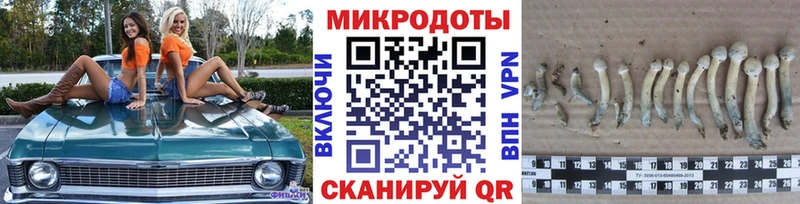 Купить Гусиноозёрск Галлюциногенные грибы прущие грибы